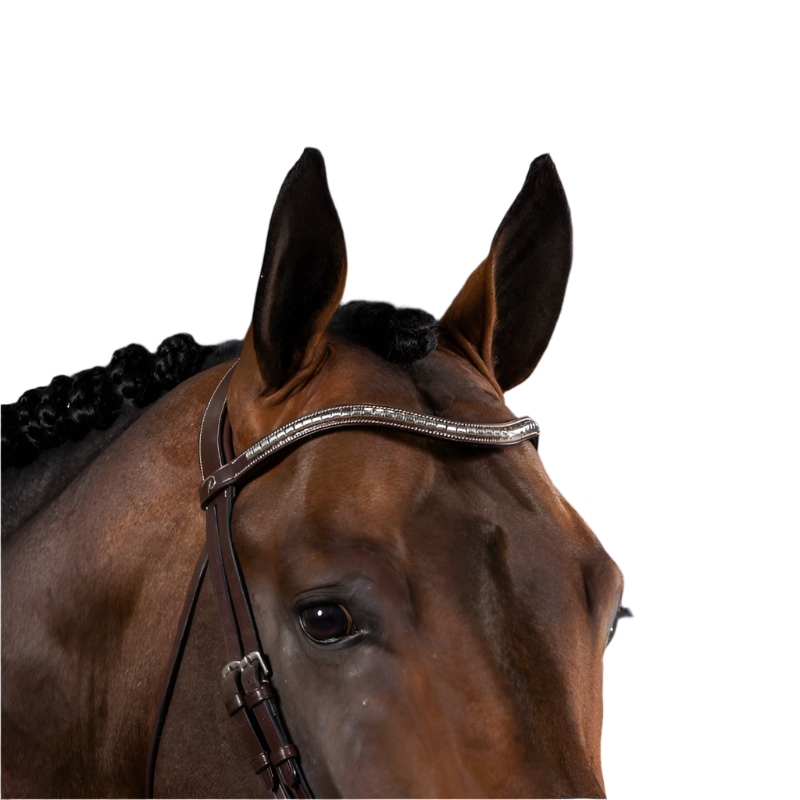 Dyon - Frontal en V clincher argenté US Collection marron