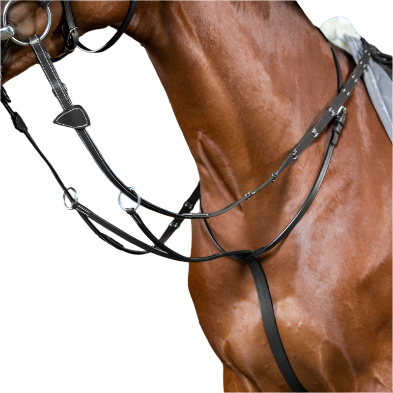 Dyon - Martingale à anneaux Working By Dyon noir
