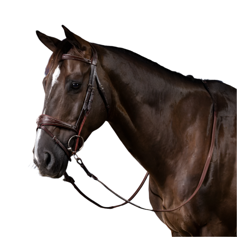 Dyon - Montants de releveur US Collection marron