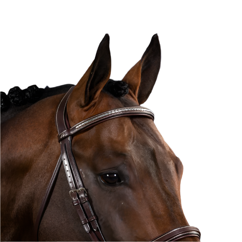 Dyon - Frontal droit clincher argenté US Collection marron