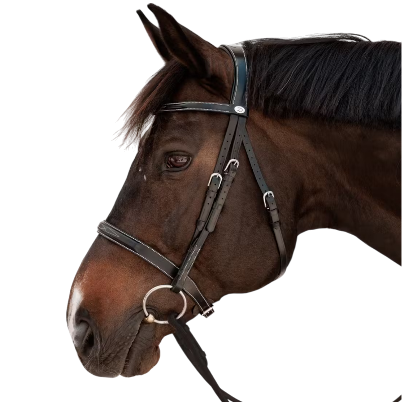 Dyon - Black Hunter Bridle 