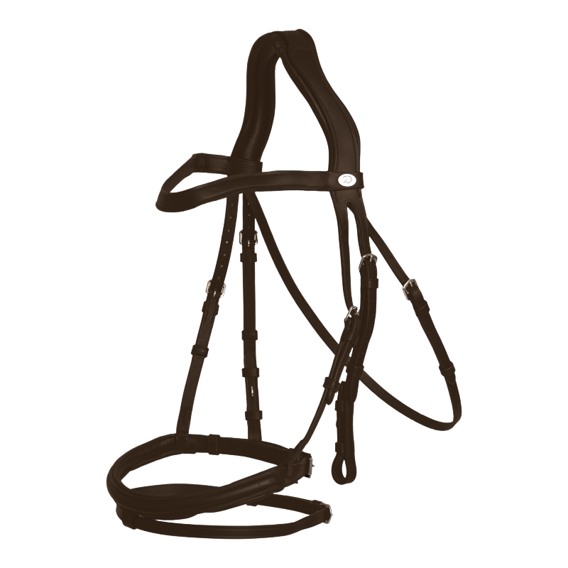 Dyon - Bridon muserolle combinée Flash marron | - Ohlala