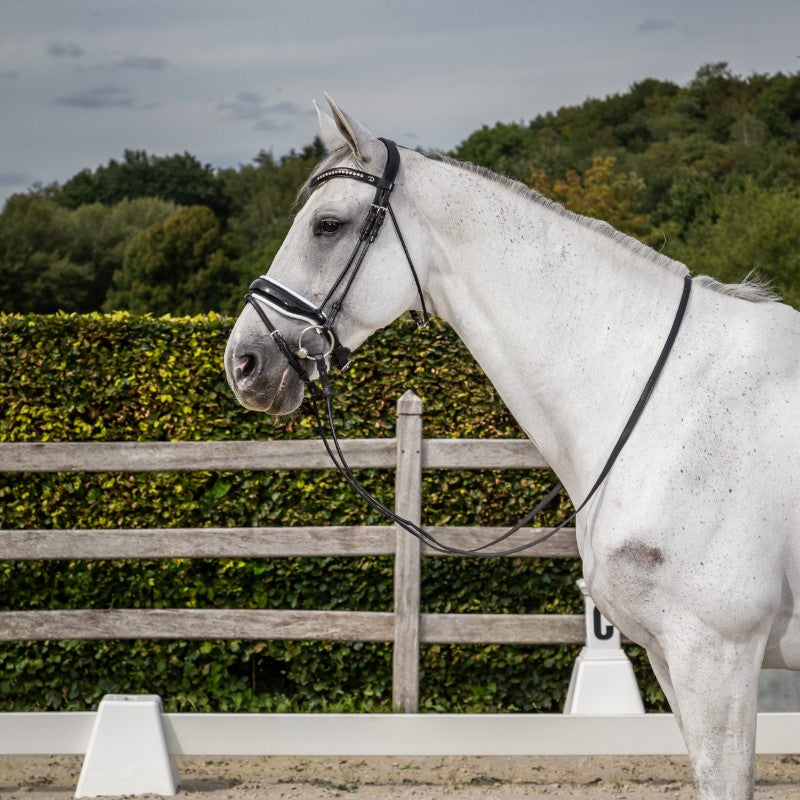 Dyon - Wide combined muzzle bridle with white lining New English collection black 