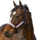 Equithème - Check nylon headcollar navy/pink | - Ohlala
