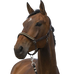 Equithème - Chevron Brown Nylon Headcollar | - Ohlala