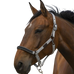 Equithème - Chevron light grey nylon headcollar | - Ohlala