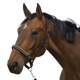 Equithème - Chevron black nylon headcollar | - Ohlala