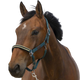 Equithème - Nylon headcollar Chevron dark green | - Ohlala