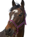Equithème - Light burgundy nylon headcollar | - Ohlala