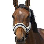 Equithème - Licol nylon Mouton marine/ blanc | - Ohlala