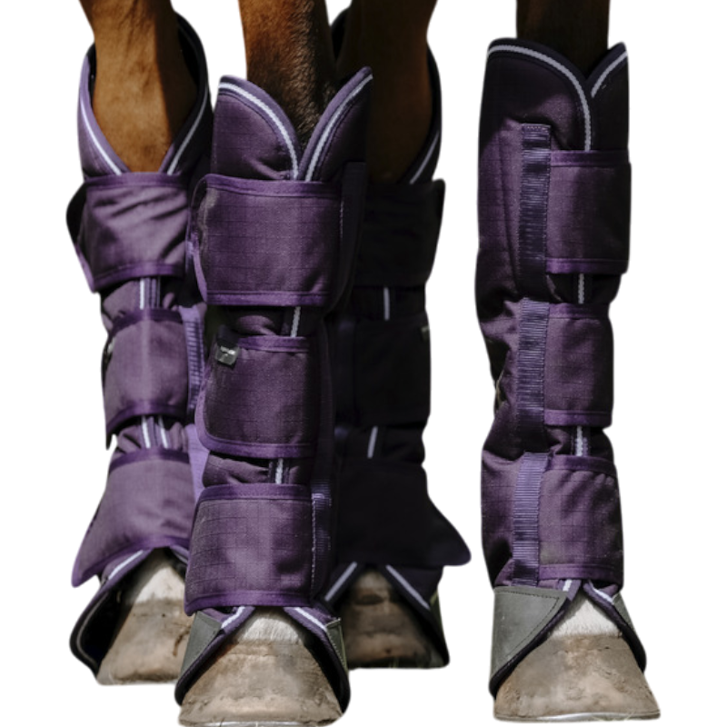 Equithème - Tyrex 600D plum transport bags 
