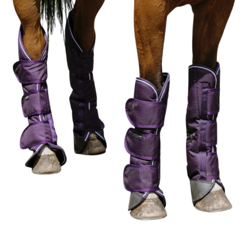 Equithème - Tyrex 600D plum transport bags 