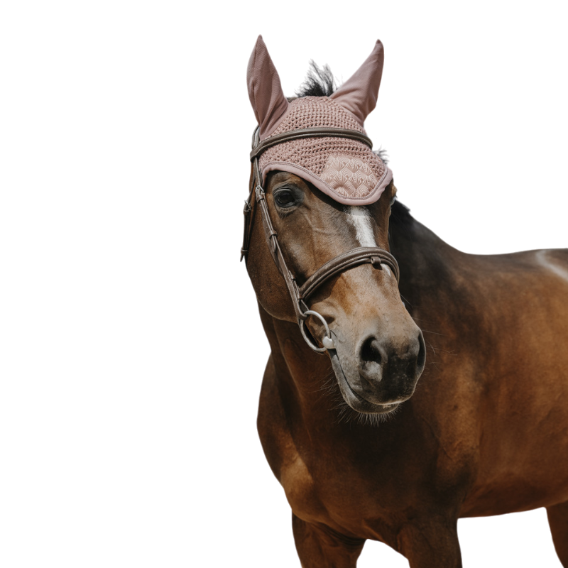 Equithème - Bonnet pour chevaux Brocart rose