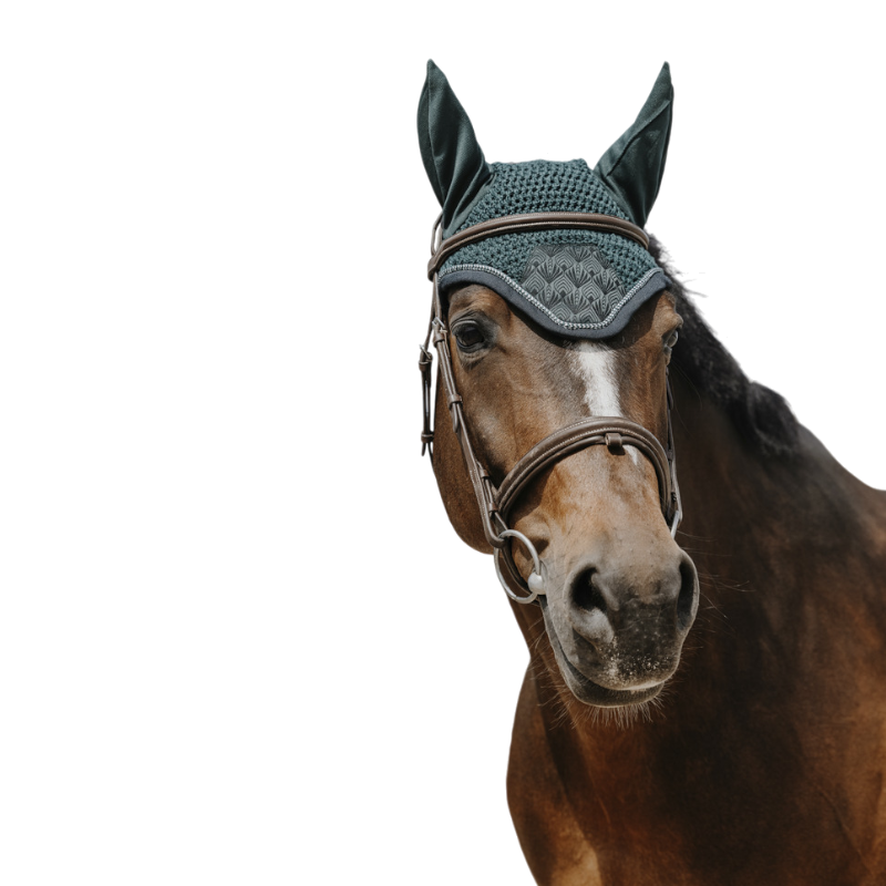 Equithème - Bonnet pour chevaux Brocart vert foncé