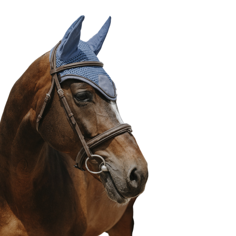 Equithème - Bonnet pour chevaux Chic bleu