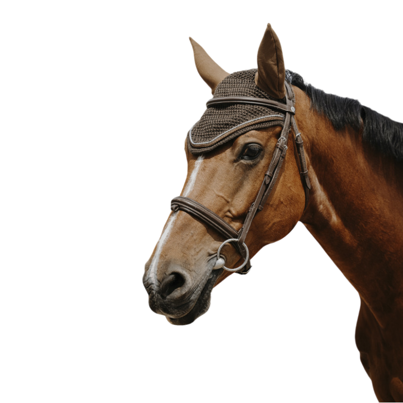 Equithème - Bonnet pour chevaux Hexalight marron