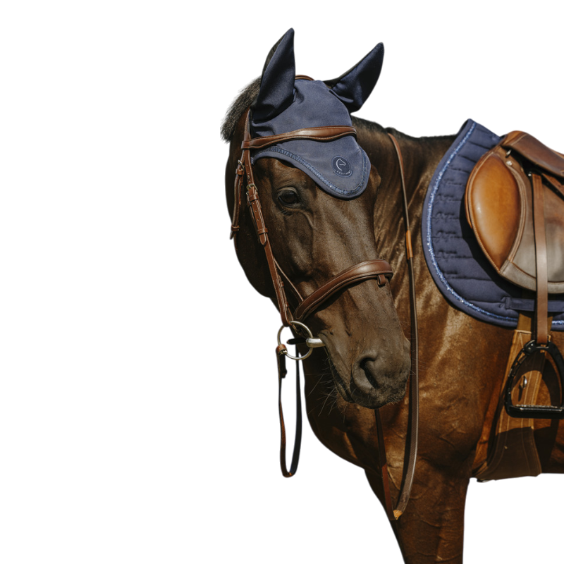 Equithème - Hat for horses Origin I love you navy 