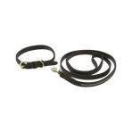 Equithème - Max brown dog collar and lead | - Ohlala