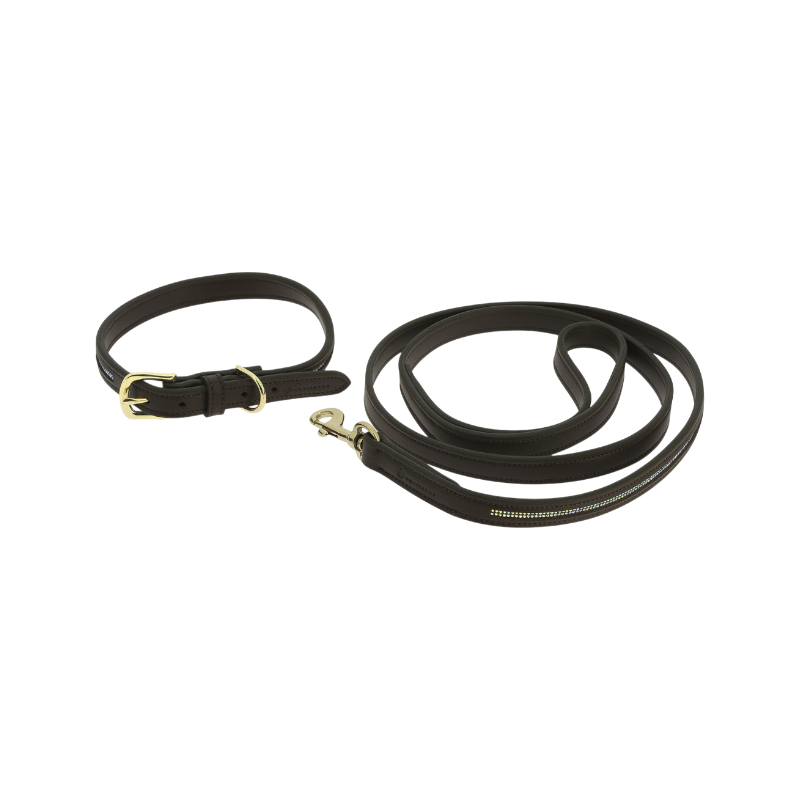 Equithème - Brown Max dog collar and leash 