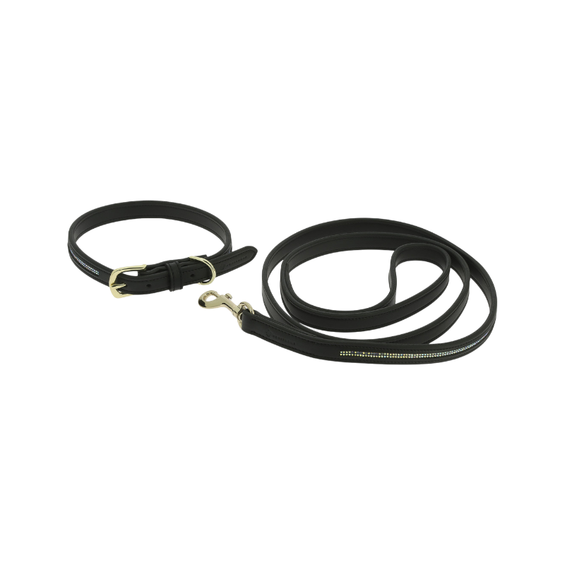 Equithème - Black Max dog collar and leash 