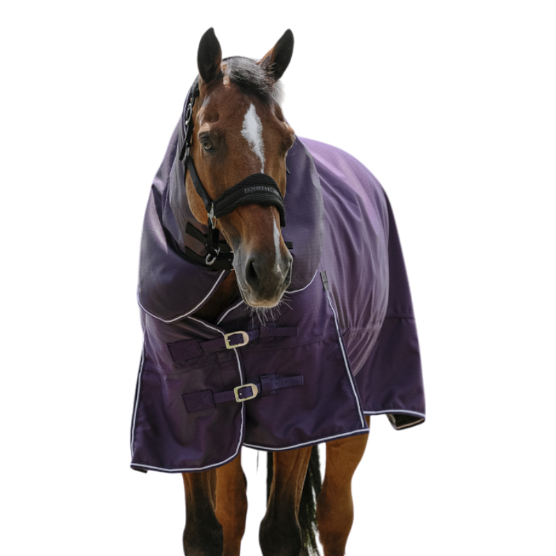 Equithème - Tyrex 600D neck cover plum 0g 