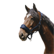 Equithème - 3D Mesh Navy Nylon Headcollar | - Ohlala