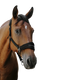 Equithème - Nylon 3D Mesh black headcollar | - Ohlala