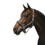 Equithème - Grey Jacquard Nylon Headcollar | - Ohlala