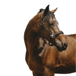 Equithème - Brown Jacquard nylon headcollar | - Ohlala