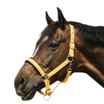 Equithème - Gold Jacquard Nylon Headcollar | - Ohlala