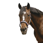 Equithème - Jacquard nylon pink headcollar | - Ohlala