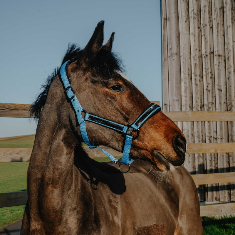 Equithème – Nylonhalfter Strass Himmelblau