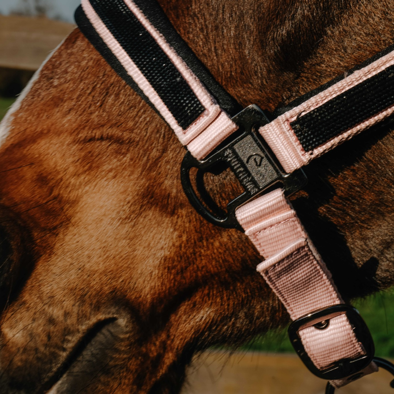 Equithème – Nylonhalfter Strass Rosa