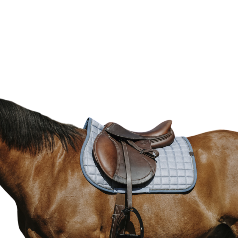 Equithème - saddle pad Stylish blue 