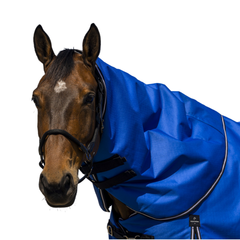 Equithème - Couvre-cou Tyrex Aisance 1200D bleu roi 0g