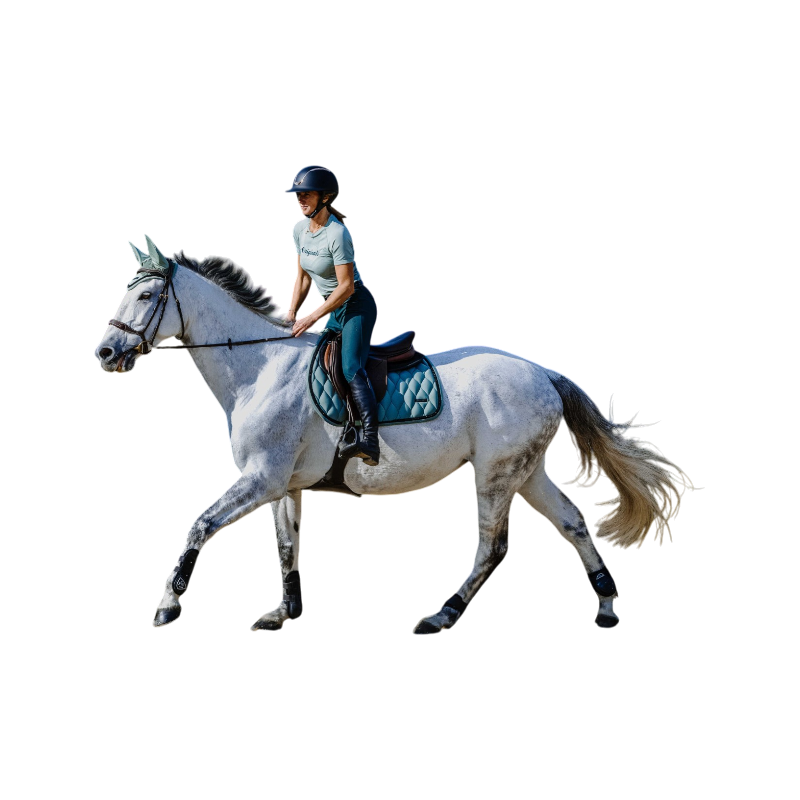 Equithème - Pearl Green Saddle Pad