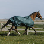 Equithème - Tyrex 600D 300g green turnout rug | - Ohlala