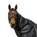 Equithème - Halshülse Tyrex 600D schwarz 200g | - Ohlala