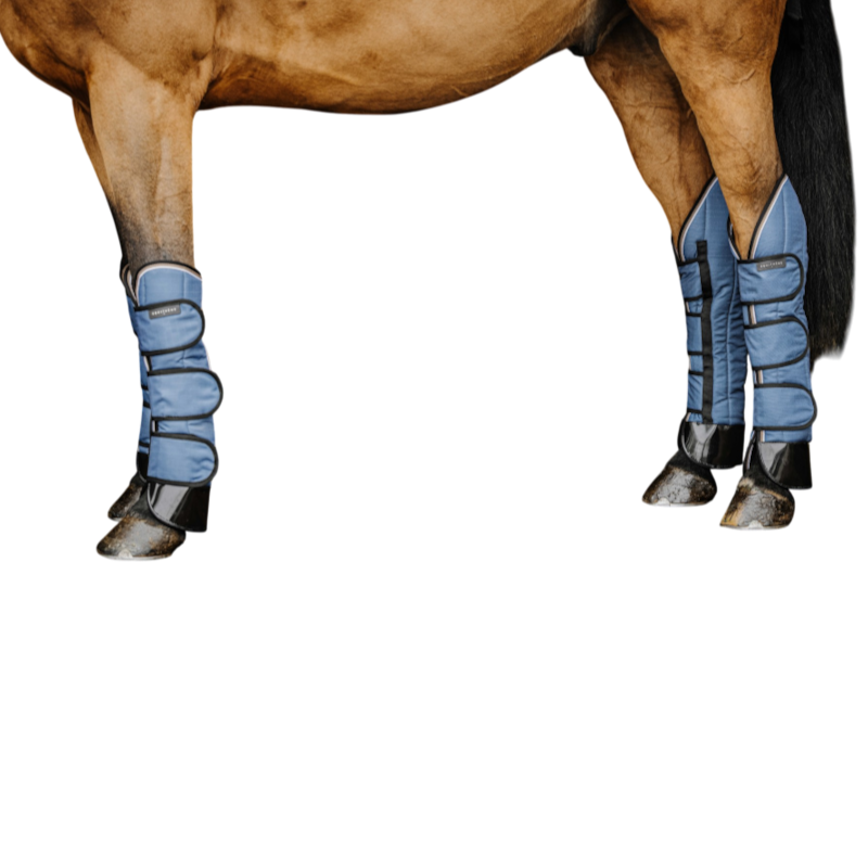 Equithème - Tyrex Aisance 1200D cobalt travel boots