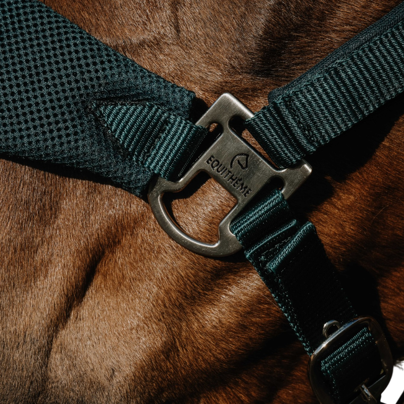 Equithème - Breeze Halter Dark Green