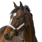 Equithème - Nylonowy kantar Check granatowy | - Ohlala