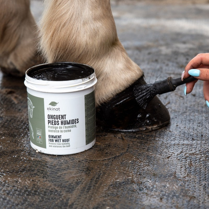 Ekinat - Ointment for wet hooves 1 L