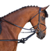 Riding World - Black rubber draw reins | - Ohlala