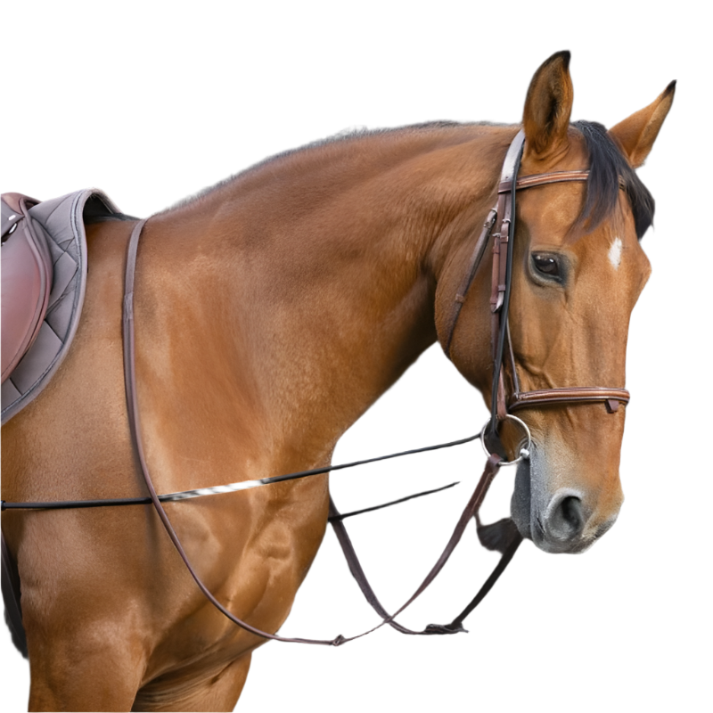 Norton - Black elastic educational long training rein