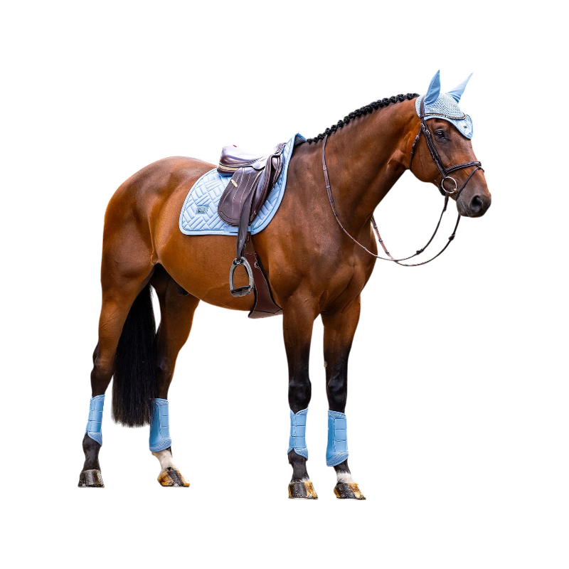 Equestrian Stockholm - Bonnet pour chevaux Modern midsummer blue | - Ohlala