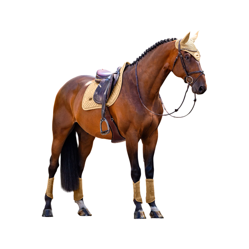 Equestrian Stockholm - Bonnet pour chevaux Modern midsummer glow | - Ohlala