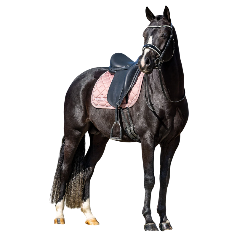 Equestrian Stockholm - Tapis de dressage Line rose | - Ohlala