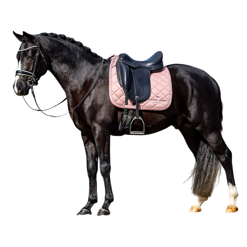 Equestrian Stockholm - Tapis de dressage Line rose | - Ohlala
