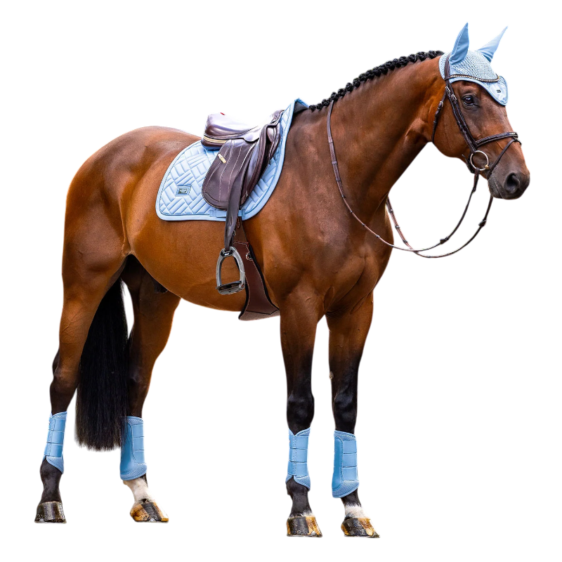 Equestrian Stockholm - Tapis de selle Modern midsummer blue | - Ohlala