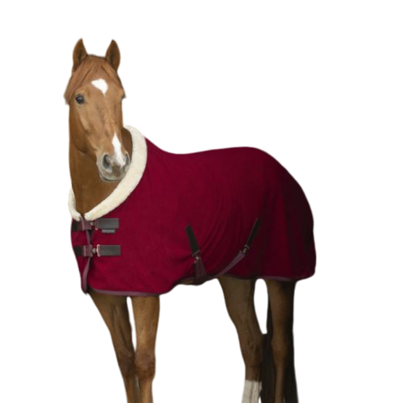 Equithème - Burgundy/ecru Teddy fleece shirt